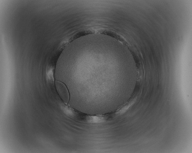 X0000114670286200910211156