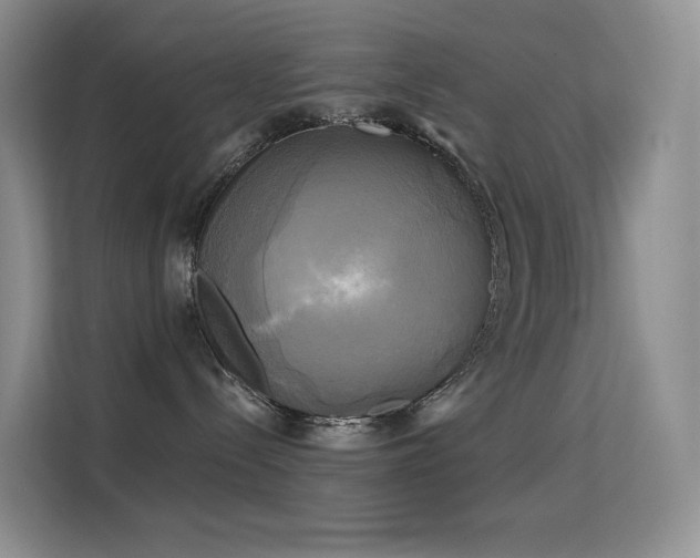 X0000114670288200910211156