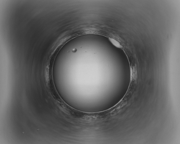 X0000114670291200910211156