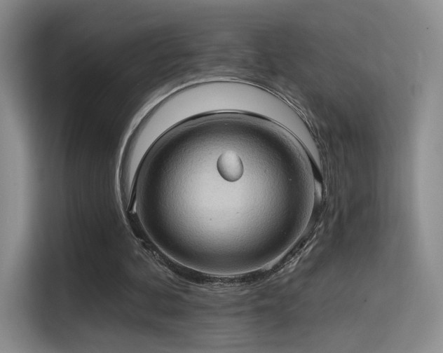 X0000114670292200910211156