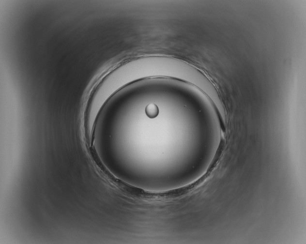 X0000114670293200910211156