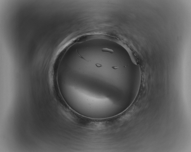 X0000114670295200910211156