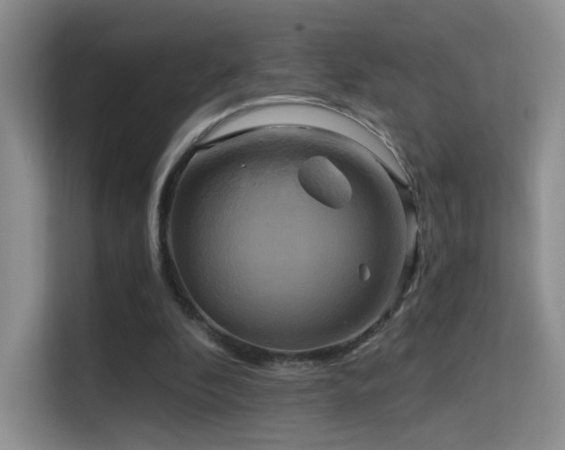 X0000114670296200910211156