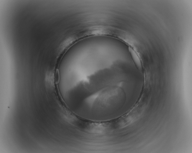 X0000114670297200910211156