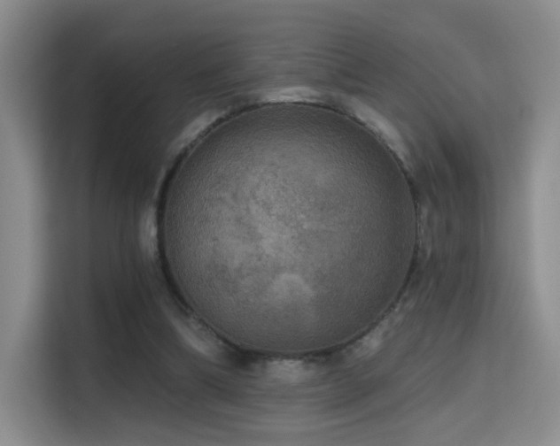 X0000114670298200910211156