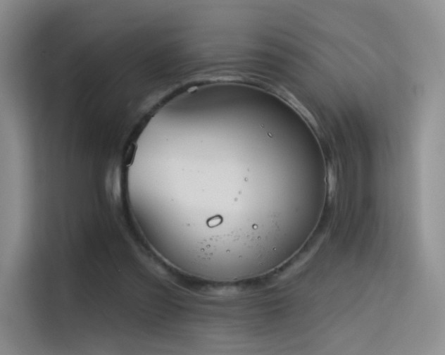 X0000114670301200910211156