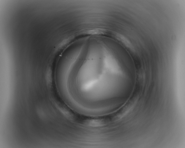 X0000114670303200910211155