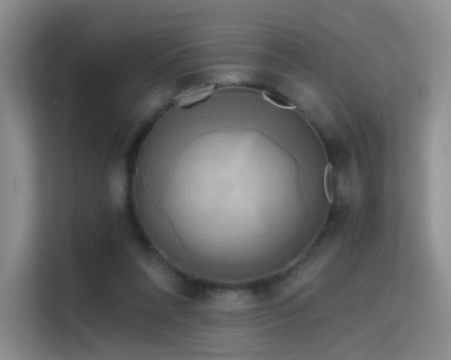 X0000114670304200910211155