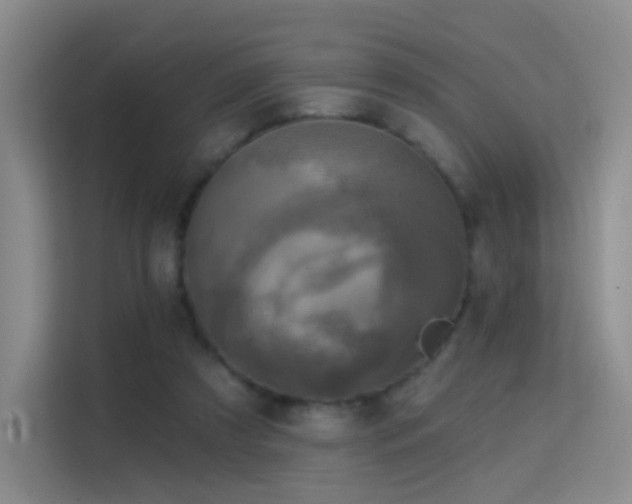 X0000114670305200910211155