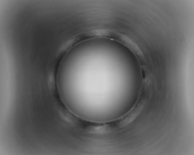 X0000114670306200910211155