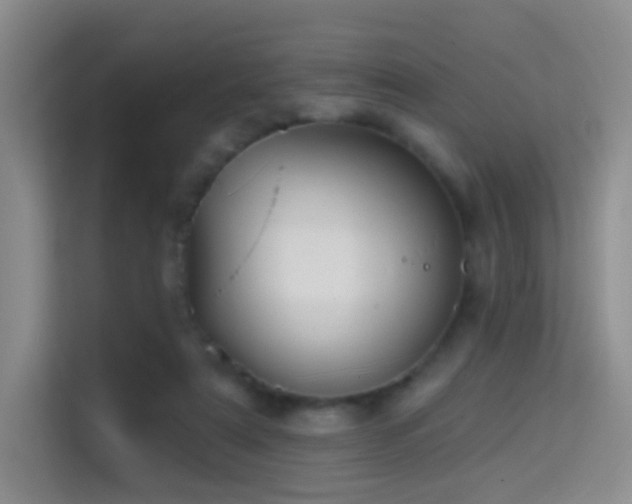 X0000114670307200910211155