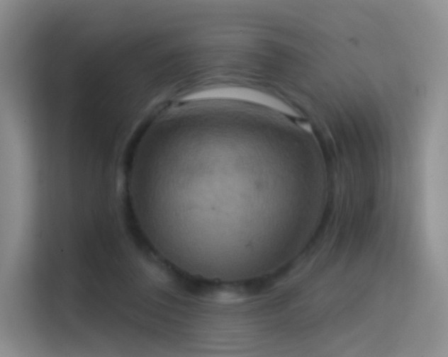 X0000114670308200910211155