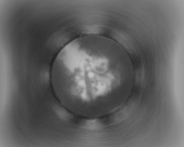 X0000114670309200910211155