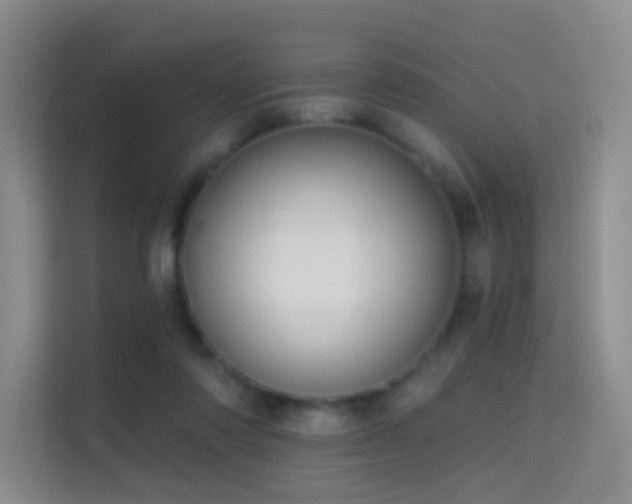 X0000114670310200910211155