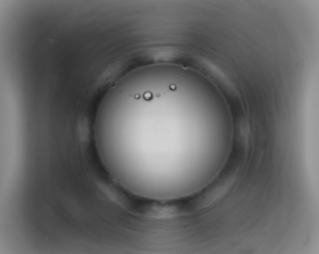 X0000114670311200910211155