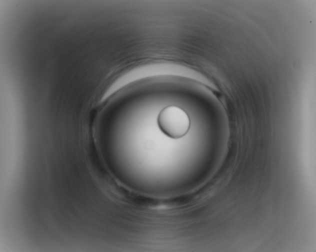 X0000114670312200910211155