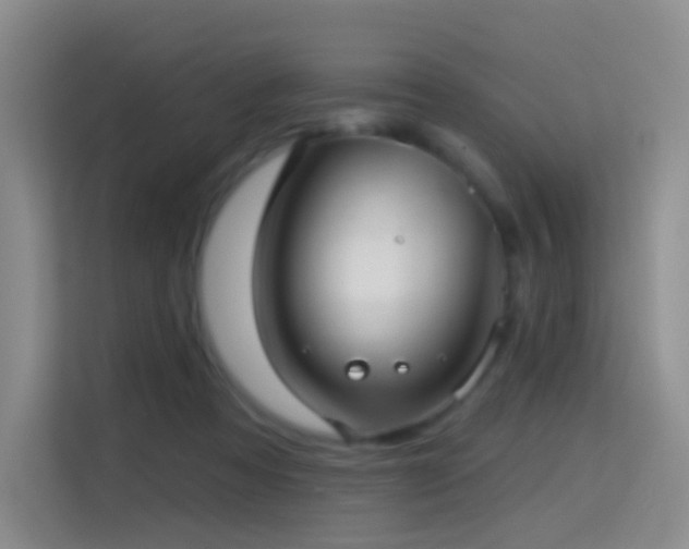 X0000114670313200910211155