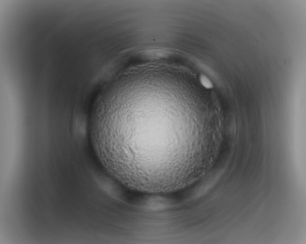 X0000114670315200910211155