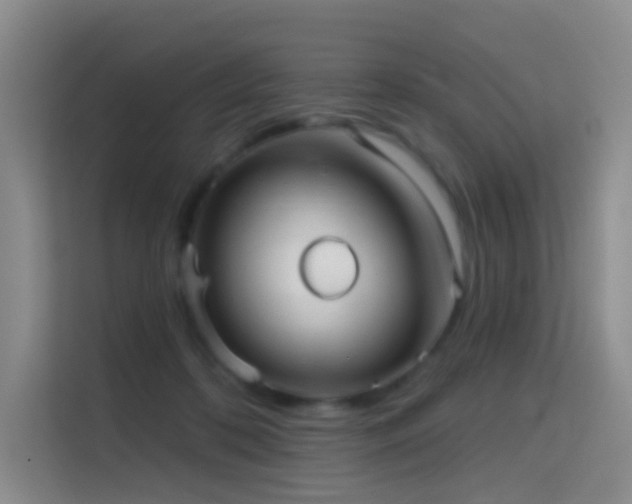 X0000114670316200910211155