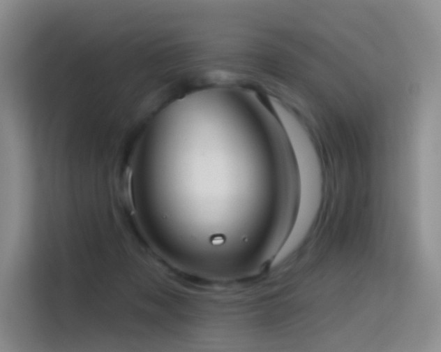 X0000114670317200910211155