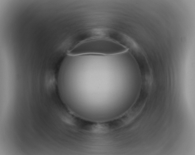 X0000114670320200910211155