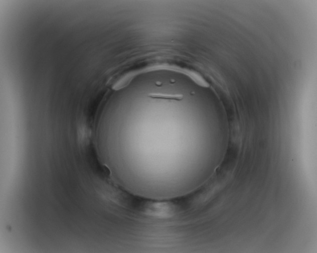 X0000114670324200910211155