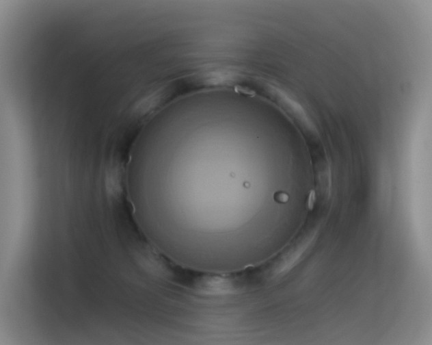 X0000114670325200910211155