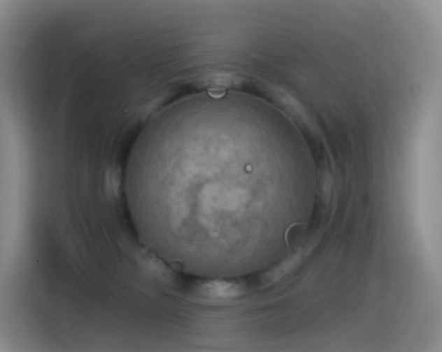 X0000114670326200910211155