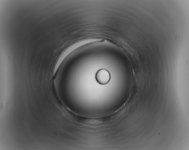 X0000114670327200910211155