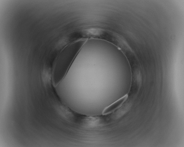 X0000114670328200910211155