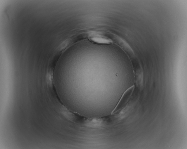 X0000114670329200910211155