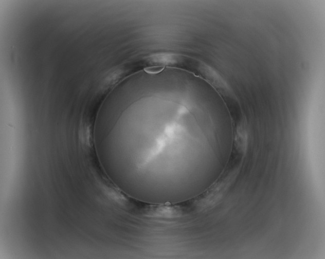 X0000114670330200910211155