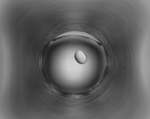 X0000114670332200910211155