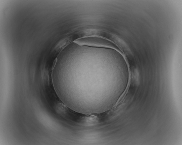 X0000114670333200910211155