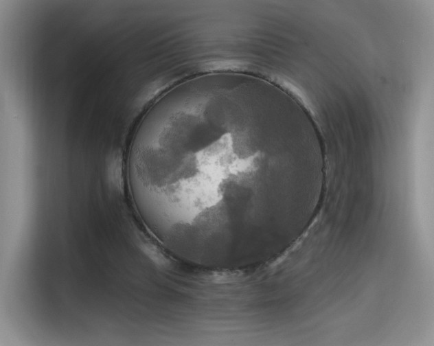 X0000114670345200910211155