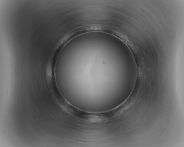 X0000114670347200910211155