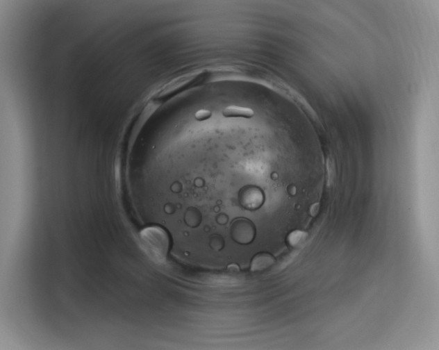 X0000114670349200910211155