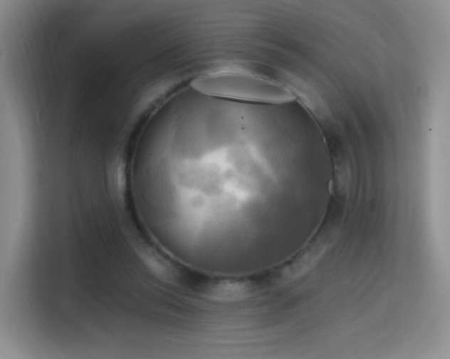 X0000114670350200910211155