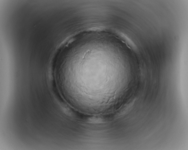 X0000114670354200910211155