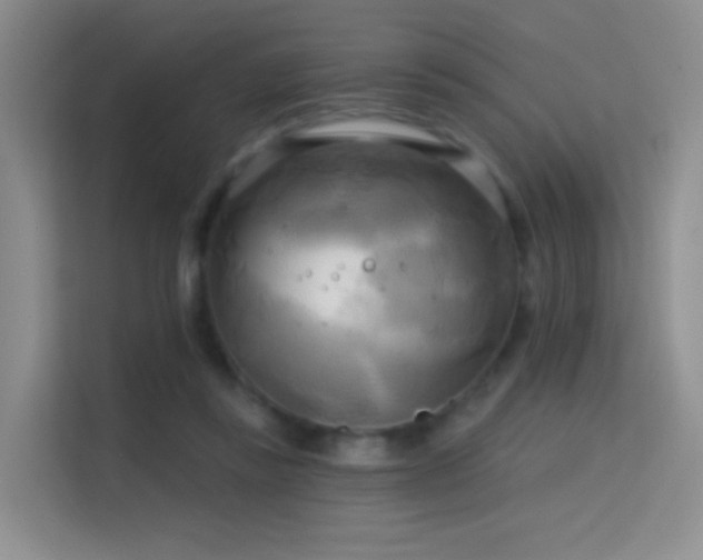 X0000114670355200910211155