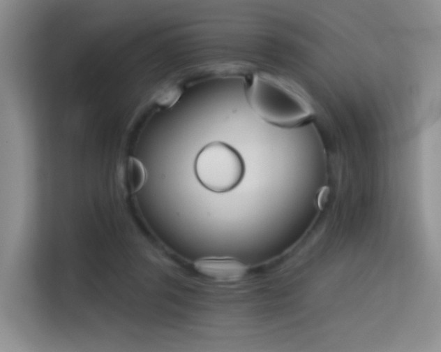 X0000114670357200910211155