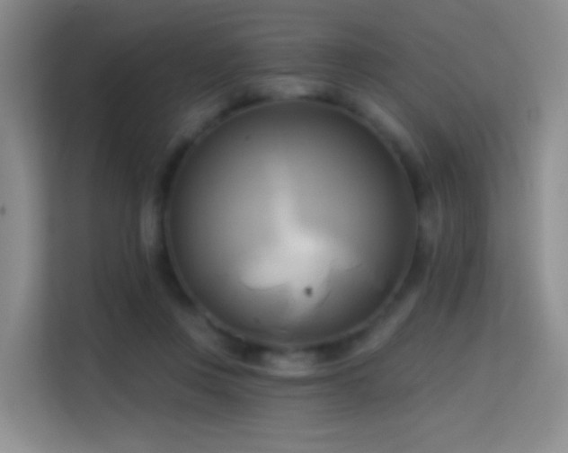 X0000114670359200910211155