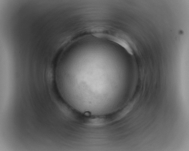 X0000114670362200910211155