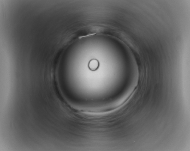 X0000114670363200910211155