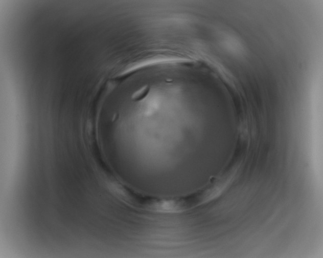 X0000114670365200910211155