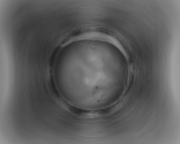 X0000114670366200910211155