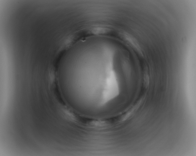 X0000114670367200910211155