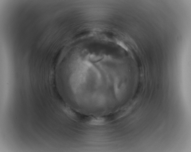 X0000114670369200910211155