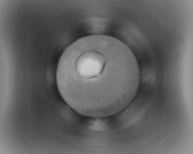 X0000114670370200910211155