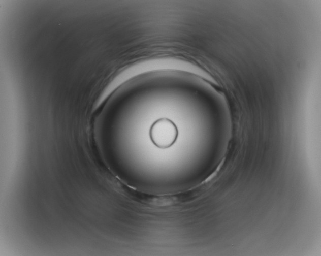 X0000114670373200910211155